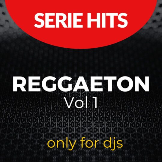 Reggaeton Hits Vol 1