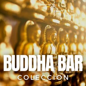 xr:d:DAF3iplAEpM:115,j:6225514444334843583,t:23122923 Buddha Bar <br>Vol 1-22