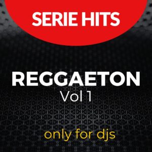 Reggaeton Hits Vol 1